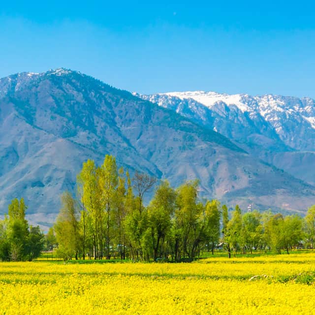 Kashmir Tour Packages
